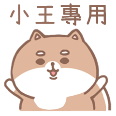 misty cat-Shiba Inu (ID-46)