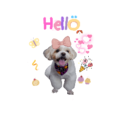 nu oil_20220809171703