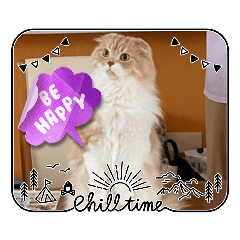 うちのスコ(ver4)