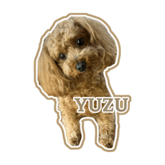 YUZU_20220809215539