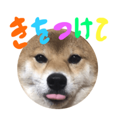 nozomi_20220810034847