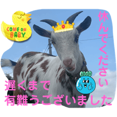 sayuri_20220810085840