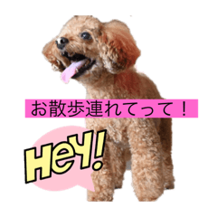 yuka_20220810104316