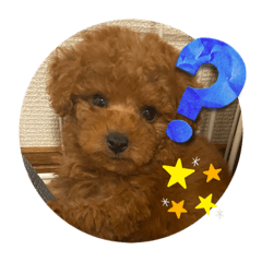 saori_20220810123406