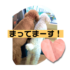 yuka_20220810141025