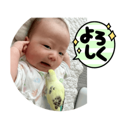 naff No.7_20220810134851