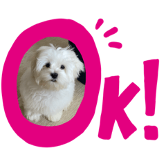 Smile_20220810161830