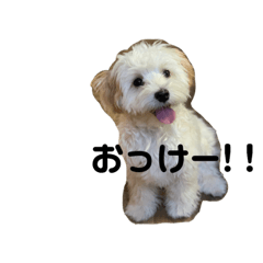 suzu_20220810161543