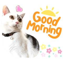 Chisa_20220810164817