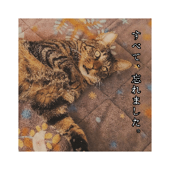 momoko_20220810173536