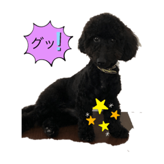 KUU_20220810202640