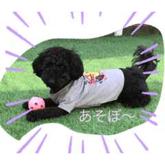 KUU_20220810202443