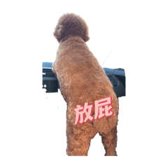 搞笑的愛錢