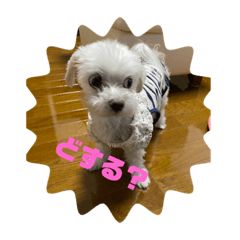 kuu_20220810214436