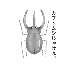 aoi_20220810175449