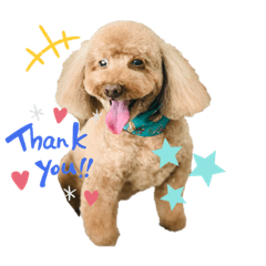 HIKARI_20220810232951