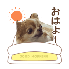 Konatsu_20220811115011