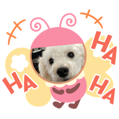 MIZUKI_20220811131048