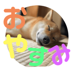 hana_20220811145430