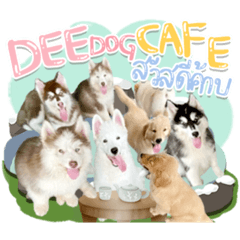 DEE  DOG CAFE