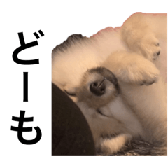 tono_20220810225111