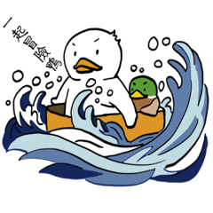 Happy life of KoKo ducks