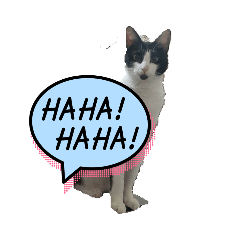 小信子生活百貨