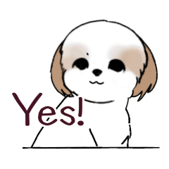 Stickers_Shih Tzu_ie