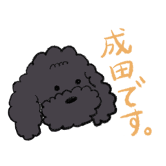 Yun_20220811100553