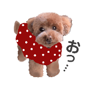 berryberrybeII_20220810160135