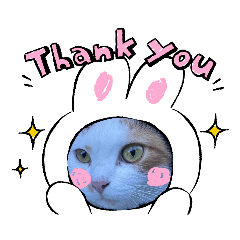 smile_20220811165251