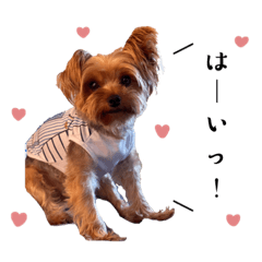 hiyori_20220811214600