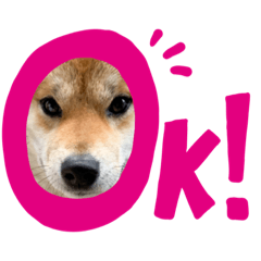 写真スタンプ　tukimone 無料版