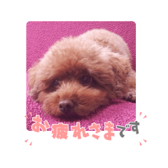 alice_20220811181853