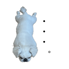 c_20220812000541