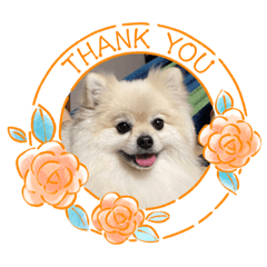 nozomi_20220812090057