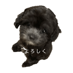 hana_20220811200824