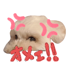 hikari_20220811215816