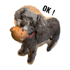 Nozomi_20220811215555