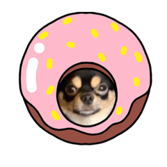 kinaco_20220812122323