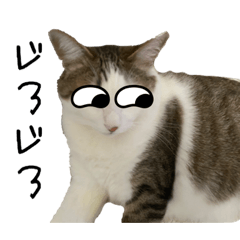 Tomomi_20220812055719