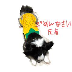 yuka_20220811235704