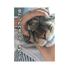 momoko_20220812131916