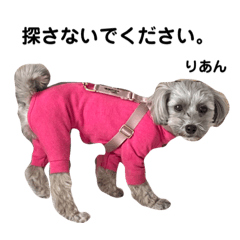 ririka_20220812124830