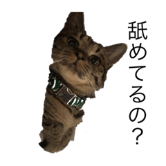 arisa_20220812133331