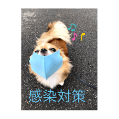YUTO_20220812141637