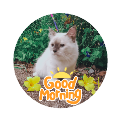 beer.ni.beer_20220811225731