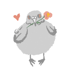 A-Kookoo is a very cute pigeon