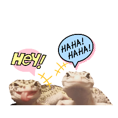 Arisa_20220812172804