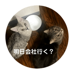 kana_20220812175636